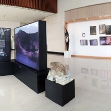 Parallel Worlds Exhibition