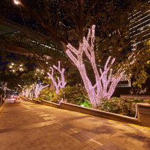 Brigade Gateway Campus