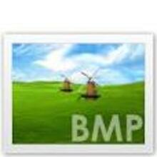 bmp