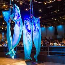 Manitoba Liquor & Lotteries Party Pit