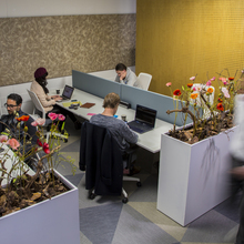 Business Center WTC The Hague