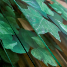 WTCBC at Steinfort Glas 2