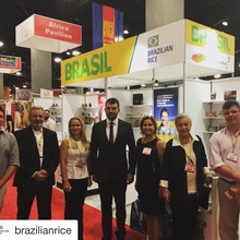 Brazilian Rice Federation