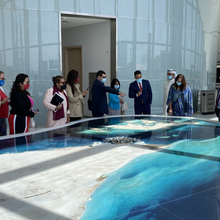 Bahrain Economic Development Board