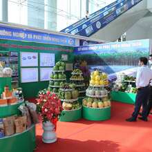 The  Binh Duong Scientific Conference 2022