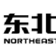 NORTHEAST SECURITIES
