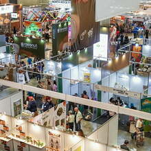 The Return of IFEX Philippines