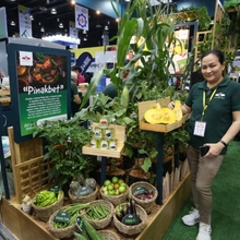 AGRI EXPO PLANTS