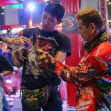 Exhibitors Inspecting