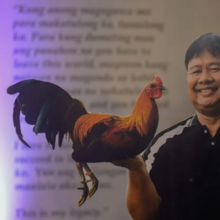 The joy of World Gamefowl Expo